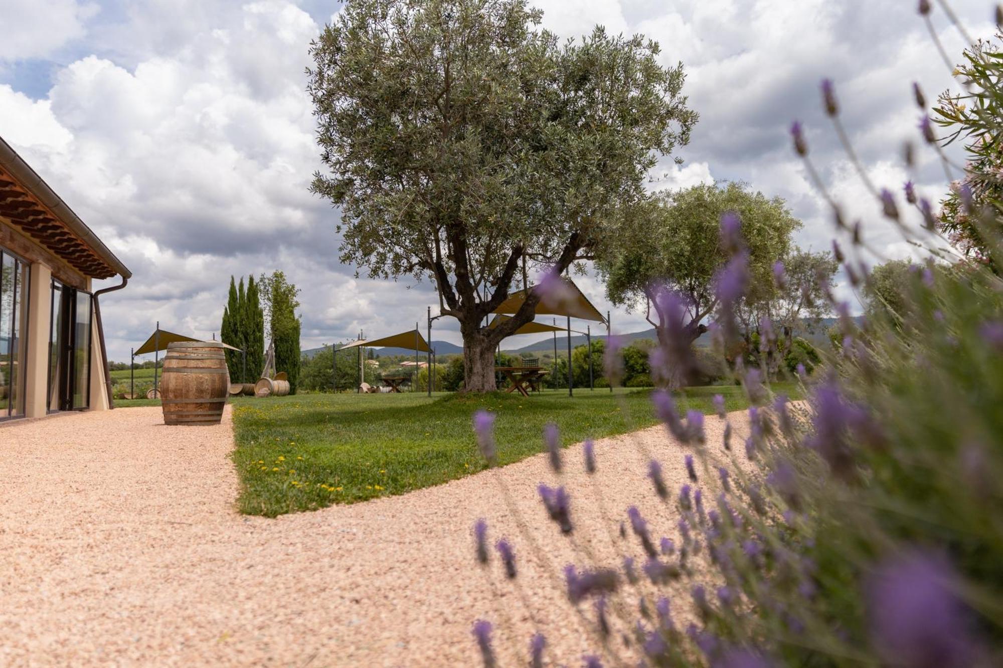 Locanda Dell'Aioncino Bibbona Eksteriør billede